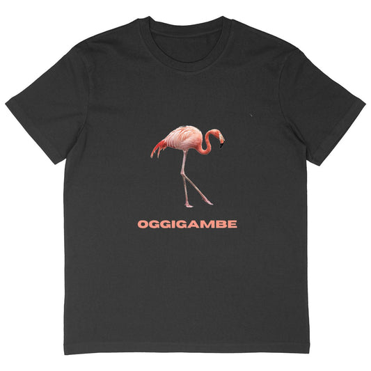 OGGIGAMBE T-SHIRT OVERSIZED TENERITORMENTIxRAFFAELLOPT